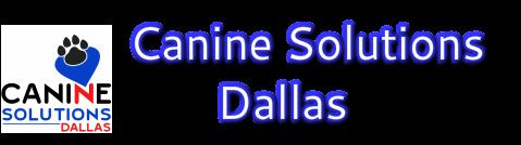 Professional Canine Training and Behavior Modification in Dallas Texas